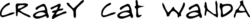 crazy cat wanda logo