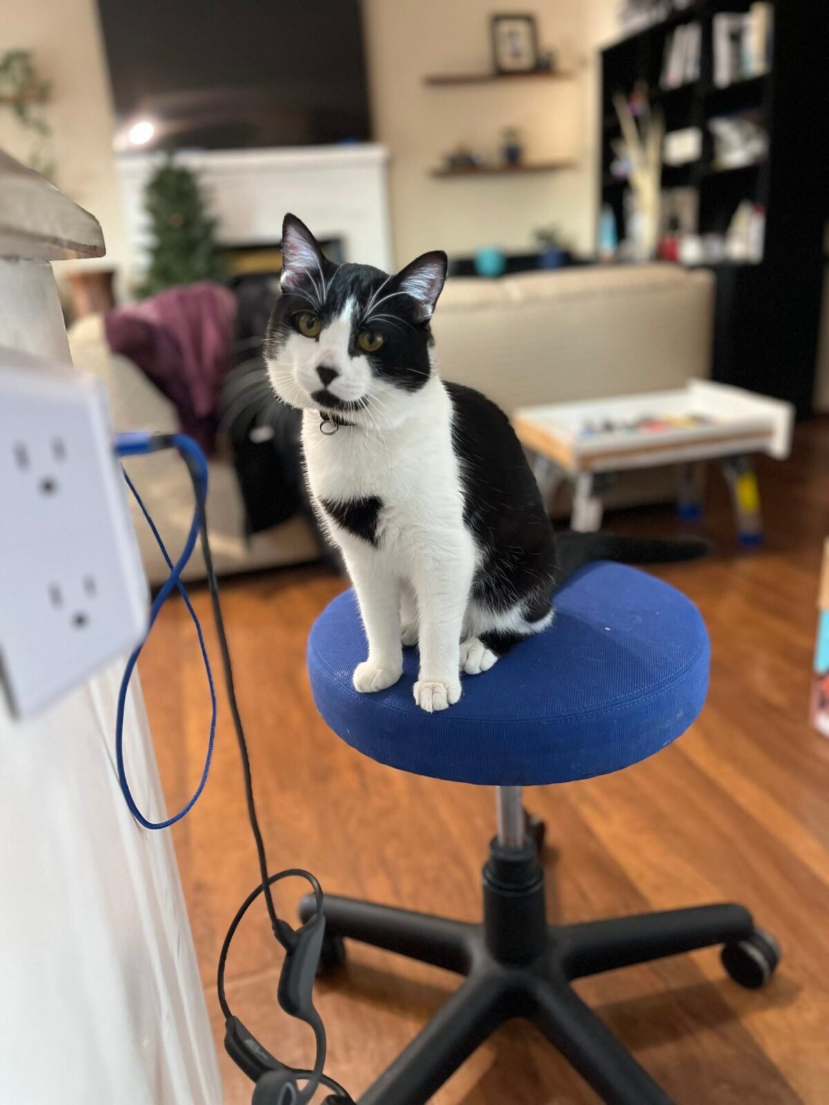 Wanda on a stool